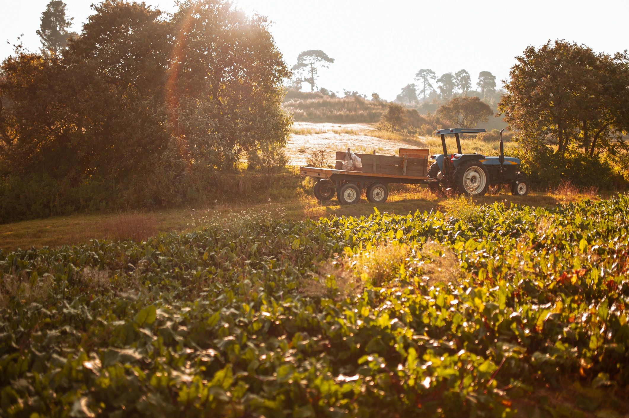 Farm landscape representing broad equipment markets served