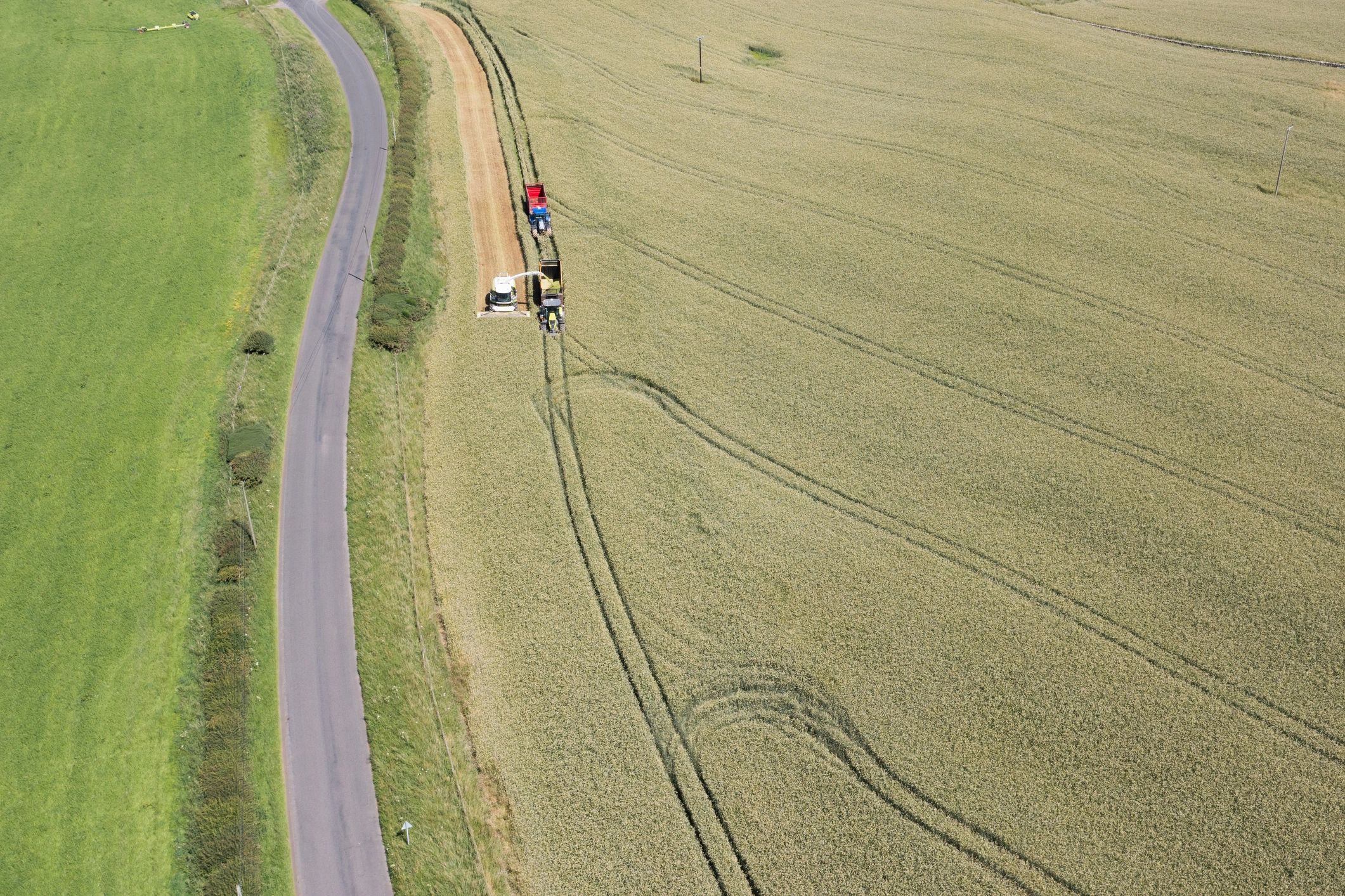 High angle view of crops being harvested in a field